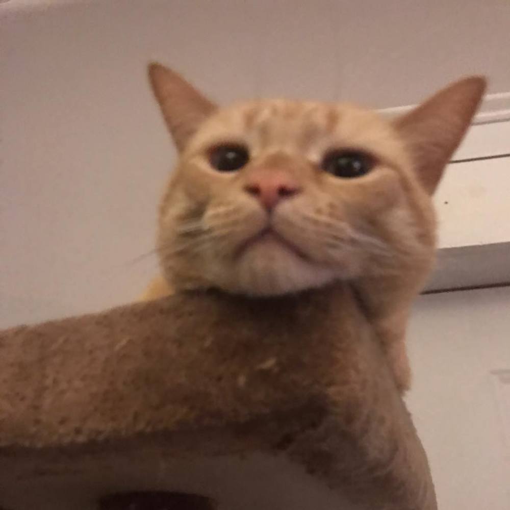 Meet your Posher, Katelyn